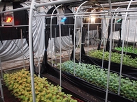 ED�ɂ��A���͔|�����i�񋟁@�Ȗ،��_�Ǝ�����a�j