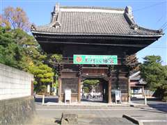 �ʑ������{