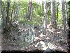 �R������