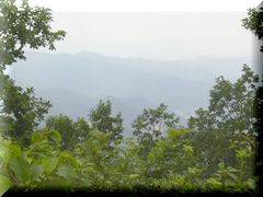 �������ʂ̓W�]