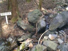 �����炬�̑�