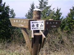 �R���̓��W