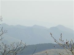 �쑤�̓W�]�@�s���R�E�E�E