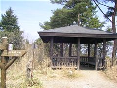 �R���̂����܂�