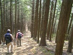 ���ؗ��̉��R�H