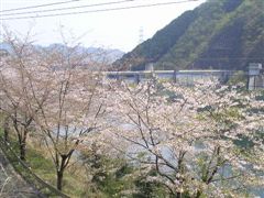 �ΔȂ̃T�N��