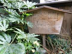 �w���̈�˂̈ē�