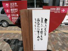 �܂��Ȃ����V�T�C��NO.15