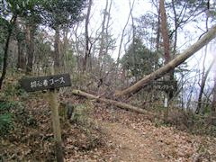 �R�[�X����