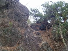 ���̂�����