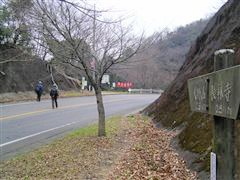 ���q�����H��n��