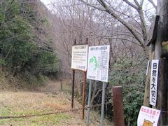 �ѓ��ւ̓����