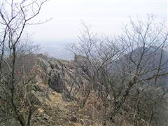 �����z����