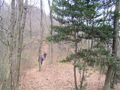 ���邢�~�ؗ��̓�