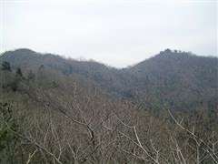 �ڎw����V�R