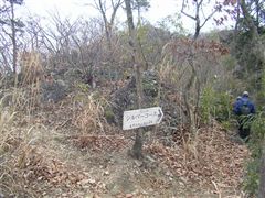 �V���o�[�R�[�X����