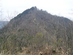 ��V�R�����̓o��