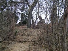 ����������V�R�R��