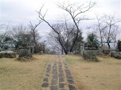 �Q���Βi�֌�����