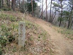 �����Ă����q�̌�����U��Ԃ�