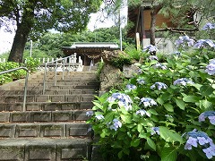 ��R�_�_�ЎQ���Βi