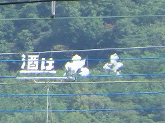 �h���͑厵�h�̖엧�ĊŔ�