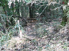 ���u�ɓ˓�