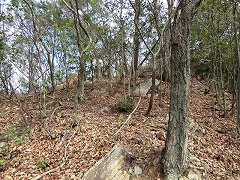 �����������Ă���