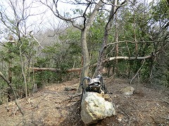 ���B��������