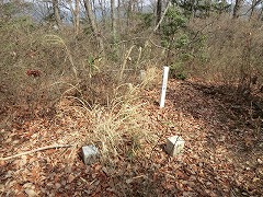 ���ˎR�R���A�l���O�p�_