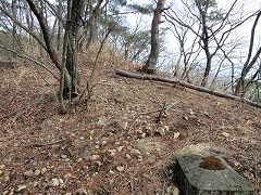 �召�R�n�C�L���O�R�[�X�����_