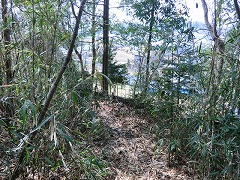 ��ɓ˂�������