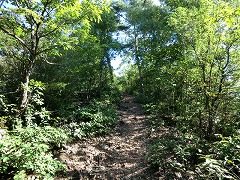 �ؗ��̓o��