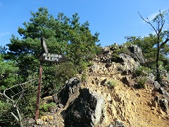 ���������̍����_