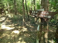 �r���̓��W