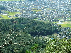 ��܂��w�����]