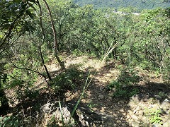 �鑃�ւ̉���