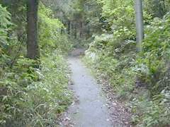 �ܑ����ꂽ�o�R�H