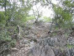 �召�R�����̊��