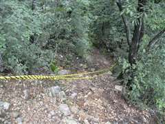 �}��̃g�����[�v