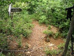 ����̉���