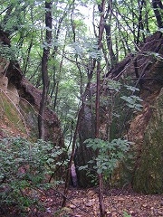 ��Ɋ��ꂽ��