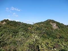 �召�̊Ŕ̑�m���R