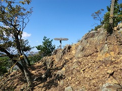 �R�S���w���֌������Ő���