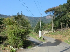 ���ԏ����