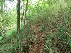 ���̓S�򉈂��ɐi��