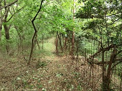 �E�ɓS��̎R��