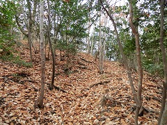 �����t�̒���