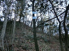 ���̂���R�̒���