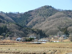 �Ԍ����猩�����̂���R